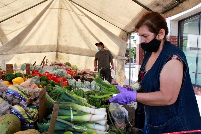 E61C88E7-4B11-4952-8B5C-2A758D042D31_1_105_c